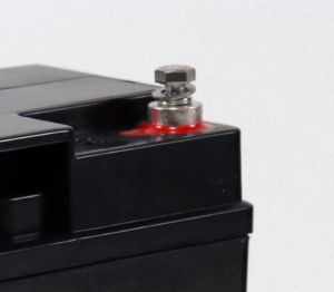 EcoLine - AGM 12V 20AH 20000mAh VRLA Batterij - 181 x 77 x167 - Deep Cycle Accu