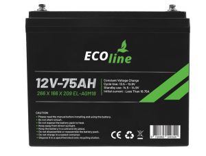 EcoLine - AGM 12V 75AH - 75000mAh VRLA Batterij - 266 x 166 x 209 - Deep Cycle Accu